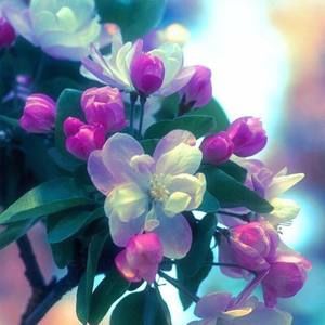 Meet your Posher, Gail